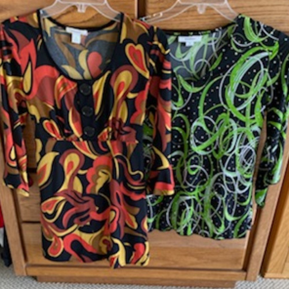 Lot of 2~DRESS BARN Silky 3/4-slv TUNIC Tops-RETRO Earthtones & GREEN crystals-M